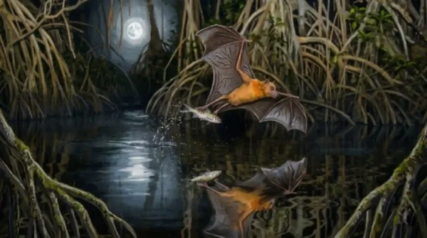 El murciélago que pesca de noche leyendo las ondas del río