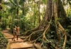 O ecoturismo na Floresta Nacional do Tapajós e como a visitação sustentável de árvores centenárias fortalece a conservação do bioma amazônico