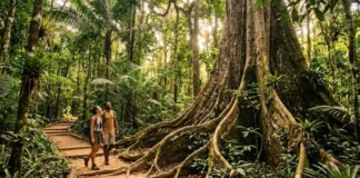 O ecoturismo na Floresta Nacional do Tapajós e como a visitação sustentável de árvores centenárias fortalece a conservação do bioma amazônico