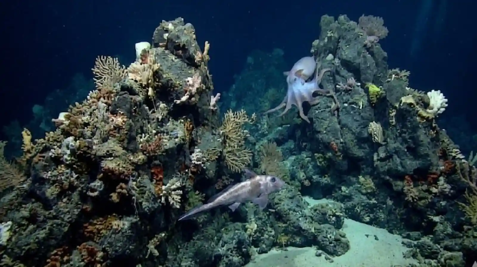 image 2026 04 28T093538.359