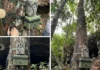 A ciência do monitoramento da fauna selvagem como investimento estratégico para a preservação global da biodiversidade e a sustentabilidade do planeta Terra