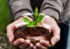 Saiba como a conversão de resíduos agrícolas em matérias primas sustentáveis impulsiona a economia circular e a bioeconomia brasileira