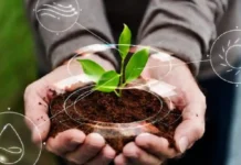 Saiba como a conversão de resíduos agrícolas em matérias primas sustentáveis impulsiona a economia circular e a bioeconomia brasileira