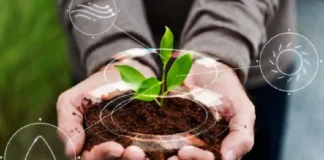 Saiba como a conversão de resíduos agrícolas em matérias primas sustentáveis impulsiona a economia circular e a bioeconomia brasileira