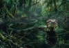 A sucuri verde sobrevive na água amazônica com metabolismo lento e estratégia de caça imbatível sucuri verde jejum metabolismo, eunectes murinus biologia, sucuri caça estratégia água