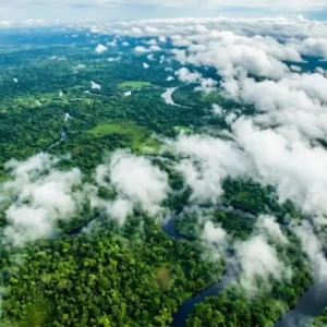 Árvores gigantes da Amazônia funcionam como bombas bióticas enviando rios voadores de vapor para todo o Brasil Vista aérea da floresta amazônica com nuvens baixas formando sobre o dossel — fotografia satelital estilizada tons verdes intensos e nuvens brancas volumosas