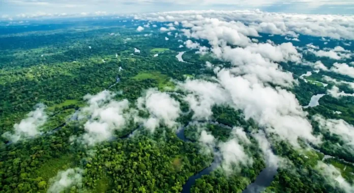 Vista aérea da floresta amazônica com nuvens baixas formando sobre o dossel — fotografia satelital estilizada tons verdes intensos e nuvens brancas volumosas