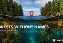 Florestas marinhas e a iniciativa global da Hyundai para nomear e proteger ecossistemas submersos essenciais para o sequestro de carbono azul.
