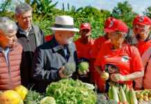 Amazônia sob nova gestão territorial mostra que formalizar a posse de pequenos imóveis rurais é o caminho para manter a floresta em pé.