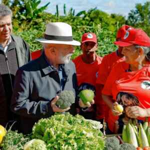 Amazônia sob nova gestão territorial mostra que formalizar a posse de pequenos imóveis rurais é o caminho para manter a floresta em pé.