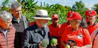 Amazônia sob nova gestão territorial mostra que formalizar a posse de pequenos imóveis rurais é o caminho para manter a floresta em pé.