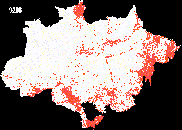 mapbiomas area evolution