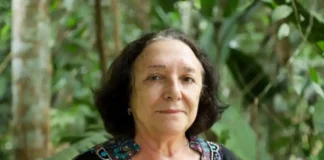 A cientista que transformou os rios amazônicos em fronteira do conhecimento