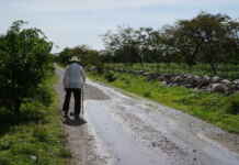 Rastreabilidade digital e êxodo rural: como a obrigatoriedade de sistemas tecnológicos pode excluir produtores idosos sem sucessão familiar do mercado formal agrícola