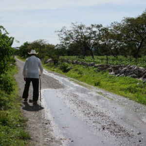 Rastreabilidade digital e êxodo rural: como a obrigatoriedade de sistemas tecnológicos pode excluir produtores idosos sem sucessão familiar do mercado formal agrícola