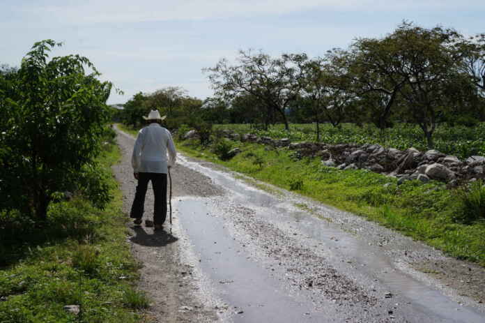 nature-life-people-roads-walking-old-man-1594985-pxhere.com