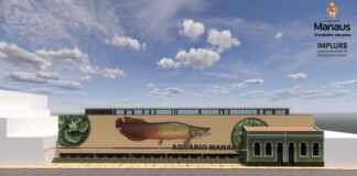 Gigantes do Rio novo aquário de Manaus será marco no turismo Projeto do aquário foi divulgado pelo prefeito de Manaus. Foto: Divulgação/Implurb ... - Veja mais em https://portalamazonia.com/turismo/manaus-aquario-municipal-rooftop/