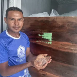 Comunidade ribeirinha e energia solar: a nova fábrica de gelo que transforma a pesca no Amazonas