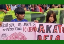 Megaprojeto de ouro canadense ameaca equilibrio ecologico na Volta Grande do Xingu