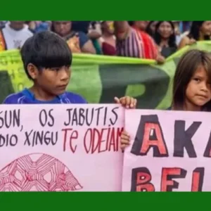 Megaprojeto de ouro canadense ameaca equilibrio ecologico na Volta Grande do Xingu