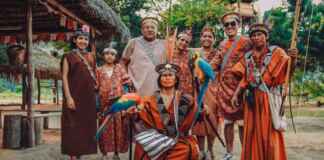 Quatro nações sul americanas compartilham a identidade oficial da Amazônia