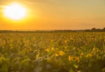 Por que as tardes de abril terão calor moderado e marcas superiores à média histórica em quase toda a América do Sul segundo o ECMWF?