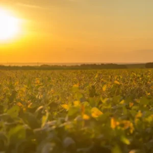 Por que as tardes de abril terão calor moderado e marcas superiores à média histórica em quase toda a América do Sul segundo o ECMWF?