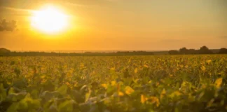 Por que as tardes de abril terão calor moderado e marcas superiores à média histórica em quase toda a América do Sul segundo o ECMWF?