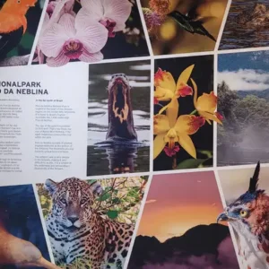 Parques nacionais brasileiros iniciam intercâmbio na Alemanha para fortalecer o monitoramento ambiental e a proteção da biodiversidade em biomas tropicais ameaçados.