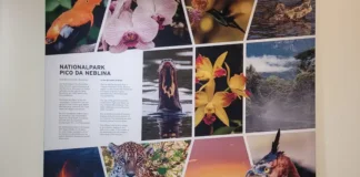 Parques nacionais brasileiros iniciam intercâmbio na Alemanha para fortalecer o monitoramento ambiental e a proteção da biodiversidade em biomas tropicais ameaçados.