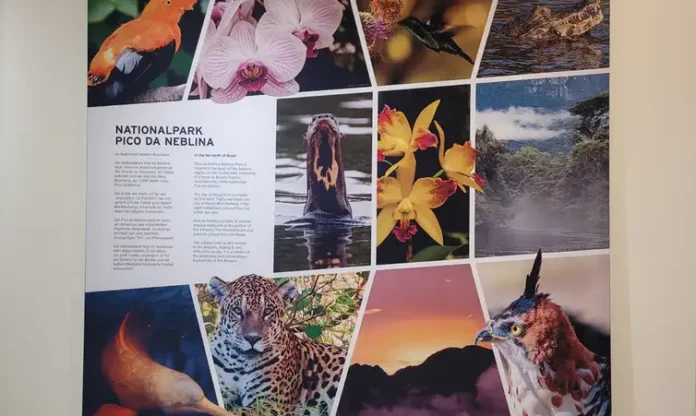 whatsapp_image_2026-03-23_at_09.26.24_2