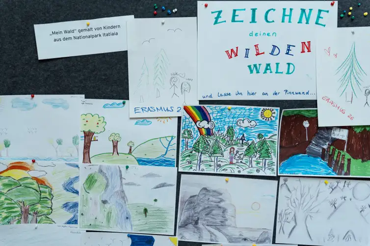 Parques nacionais brasileiros iniciam intercâmbio na Alemanha para fortalecer o monitoramento ambiental e a proteção da biodiversidade em biomas tropicais ameaçados. 2 whatsapp image 2026 03 23 at 09.26.26