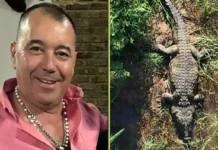 Como as inundações extremas na África do Sul evidenciam o perigo silencioso dos grandes crocodilos em áreas urbanas