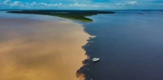 O Espetáculo do Encontro das Águas em Manaus Atrai Milhares de Turistas e Revela a Complexidade da Biodiversidade Amazônica