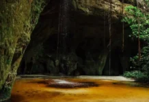 Como as cavernas de calcário da Serra dos Carajás revelam segredos geológicos e fósseis milenares da Amazônia setentrional