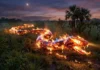 Lenda do Boitatá revela como o imaginário indígena brasileiro utiliza o mito da cobra de fogo para a conservação ambiental