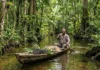 Sustentabilidade nas reservas extrativistas do Pará revela como o modelo de floresta em pé garante a sobrevivência de comunidades tradicionais