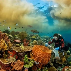 Descoberta dos recifes de coral na foz do Amazonas revela como a vida marinha prospera sob a pluma lamacenta do maior rio do mundo