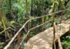 As águas secretas de Benevides e Santa Bárbara o futuro da sustentabilidade na grande Belém
