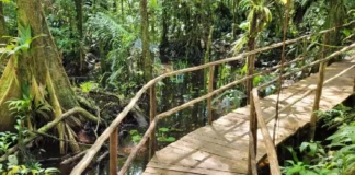 As águas secretas de Benevides e Santa Bárbara o futuro da sustentabilidade na grande Belém