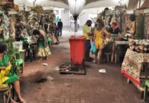 Como o Mercado Ver-o-Peso em Belém do Pará se Mantém como o Pulso Vibrante da Identidade e Sustentabilidade na Amazônia Legal
