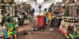 Como o Mercado Ver-o-Peso em Belém do Pará se Mantém como o Pulso Vibrante da Identidade e Sustentabilidade na Amazônia Legal
