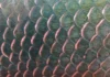 Como a Engenharia Biomimética Utiliza as Escamas do Pirarucu para Criar Materiais de Proteção e Armaduras Flexíveis de Alta Resistência