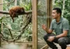 Como a frequência vocal humana e a ciência do comportamento animal auxiliam na reabilitação emocional de espécies silvestres resgatadas