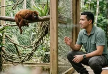Como a frequência vocal humana e a ciência do comportamento animal auxiliam na reabilitação emocional de espécies silvestres resgatadas