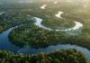 Como a conservação da Amazônia se tornou o maior projeto de infraestrutura natural do planeta e o motor da bioeconomia global
