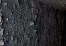 Como a terra preta de índio revela a engenharia de civilizações antigas que dominavam o biochar na Amazônia