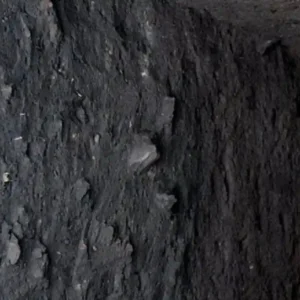 Como a terra preta de índio revela a engenharia de civilizações antigas que dominavam o biochar na Amazônia