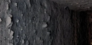Como a terra preta de índio revela a engenharia de civilizações antigas que dominavam o biochar na Amazônia