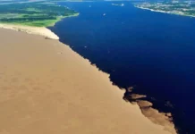 Como a ciência e o turismo sustentável explicam o fenômeno do Encontro das Águas que atrai visitantes globais a Manaus